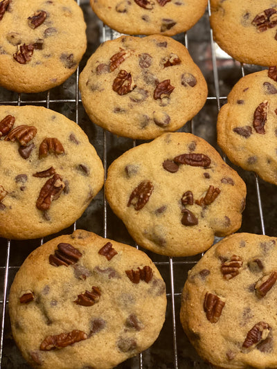 Chocolate Chip with Pecans